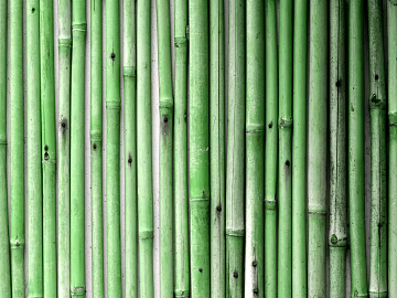 Bamboo texture (ID:ffabg07411)