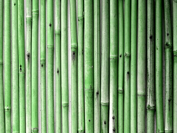 Bamboo texture (ID:ffabg07411)