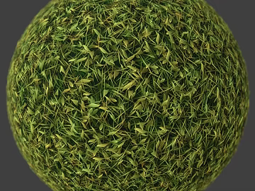 Ground cover PBR texture (ID:ffach656481)
