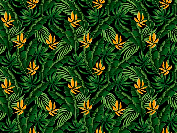 European palm plantain plant foliage background texture (ID:ffach227406)
