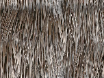 Thatch texture (ID:ffagg68053)