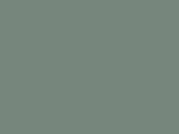 latex paint 3d model
