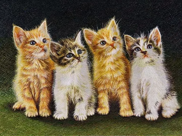 Animal painting texture (ID:ffacg81079)