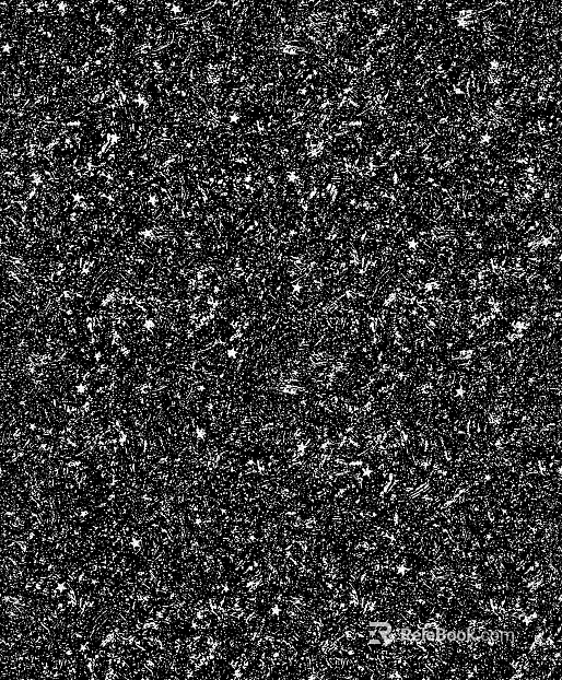 Highlight Mask texture
