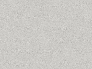 Light Gray Textured Paint Wall Coating 3d model