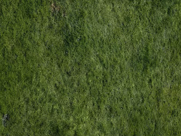 Turf texture (ID:ffabg86082)