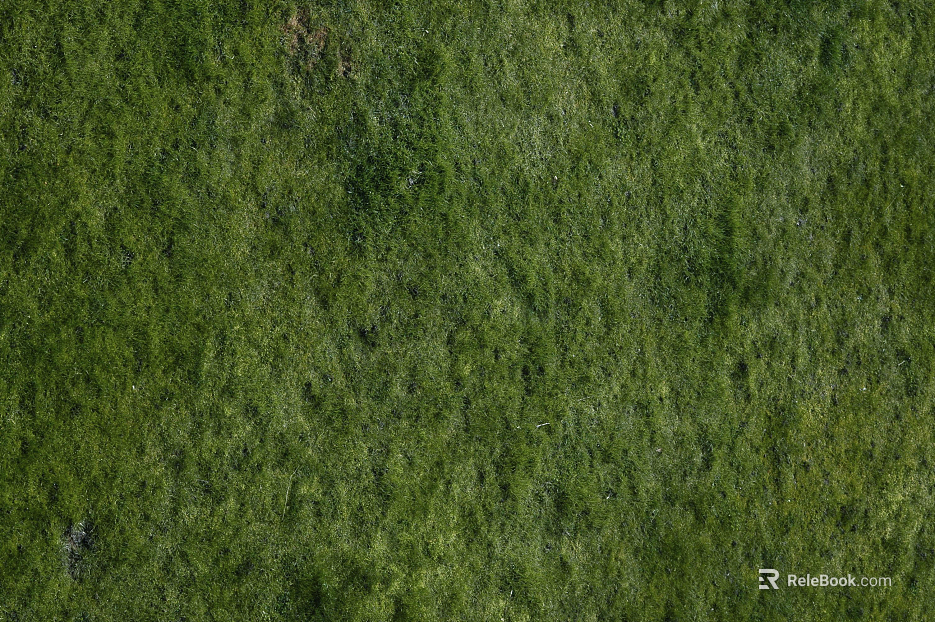 Turf texture