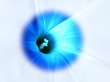 Screen material texture (ID:ffacg51711)