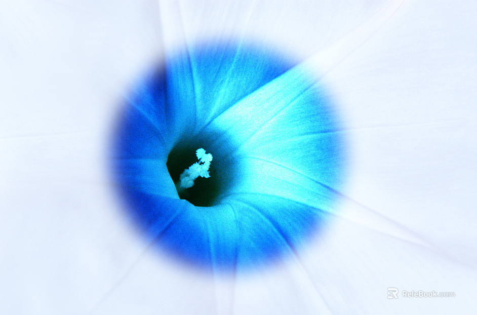 Screen material texture