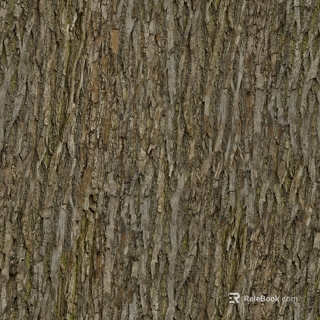ancient tree bark texture
