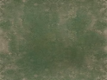 Plain pattern carpet texture (ID:ffagg89915)
