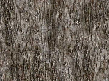 bark texture (ID:ffacg89996)