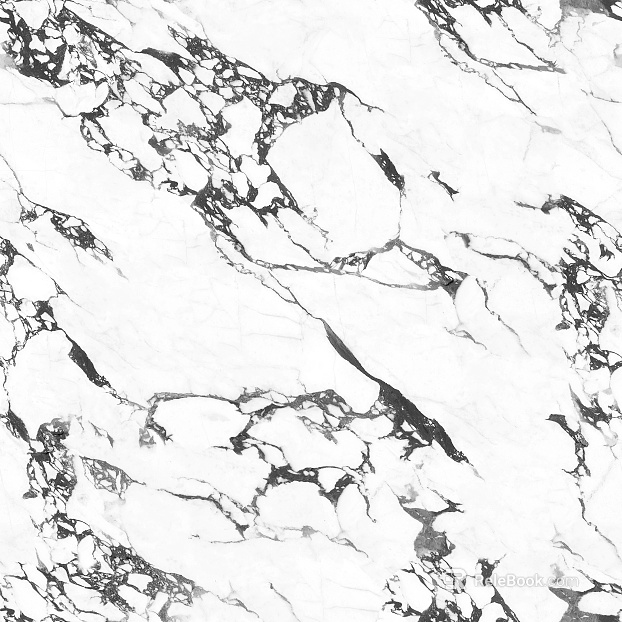 Black and white reticulated marble wall cladding石材 texture