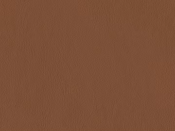 fine grain leather texture (ID:ffajg18156)