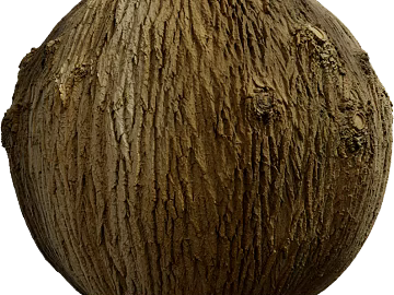 Bark PBR texture (ID:ffach304664)