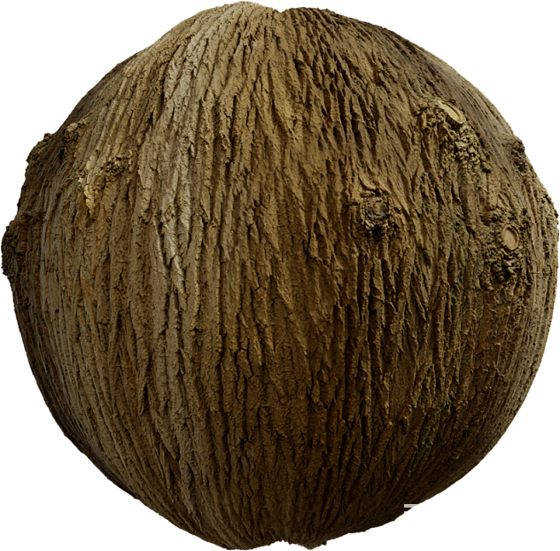 Bark PBR texture