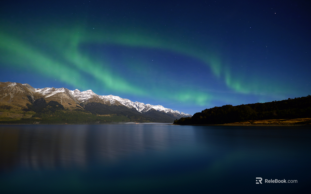 Wild Scenery texture