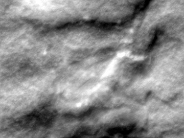 Black and White Bump texture (ID:ffaeg80528)