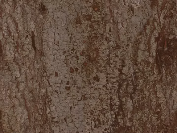 Taupe Bark Natural Decorative Surface texture (ID:ffaeh427139)