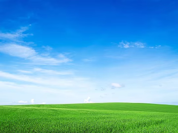Wild Scenery texture (ID:ffajg54085)