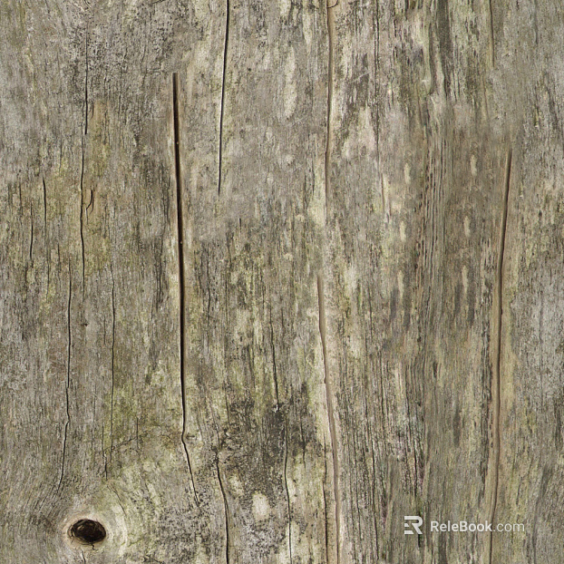 bark texture