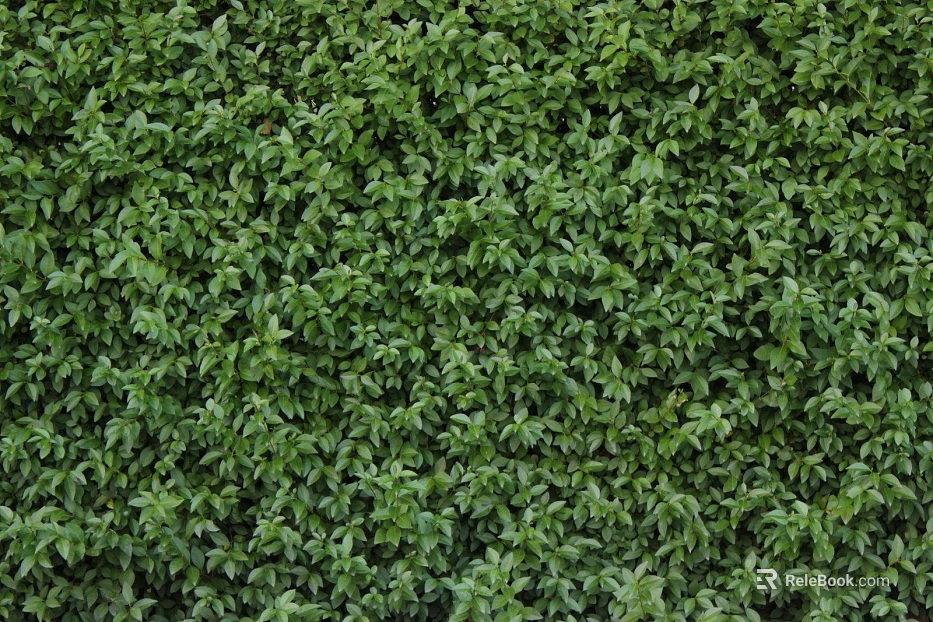 Turf texture