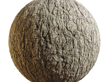 Bark PBR texture (ID:ffadg09082)