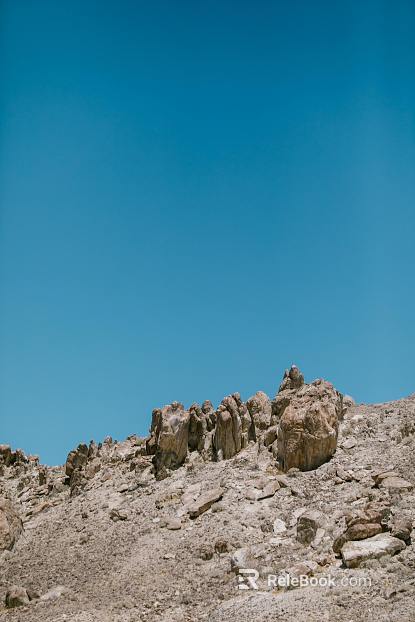 Wild Scenery texture