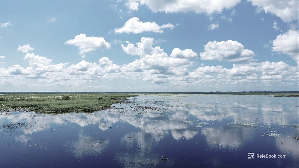 Wild Scenery texture