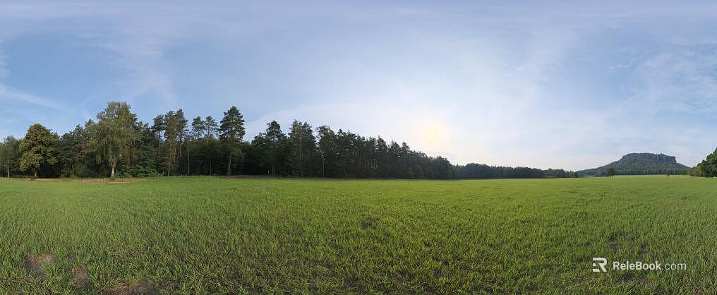 Wild Scenery texture