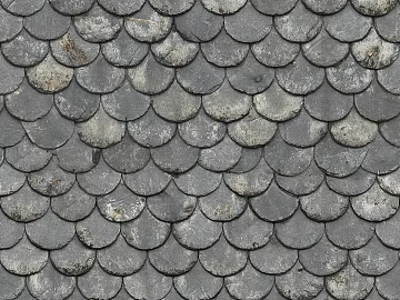 Roof material texture (ID:ffhbe097)