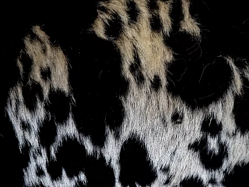 Animal Blanket texture (ID:ffabg01090)