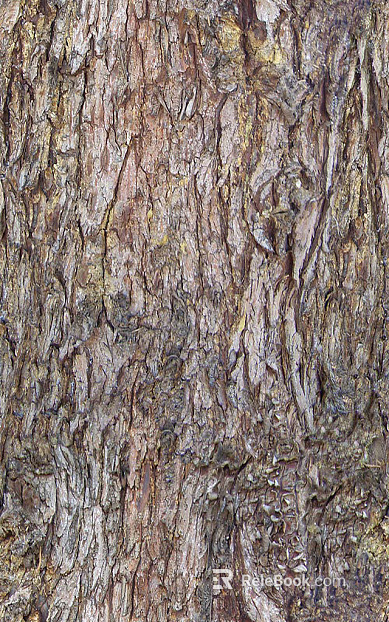 bark texture
