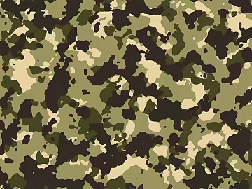 camouflage cloth pattern texture (ID:ffaeg79932)