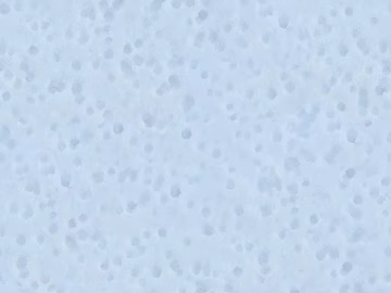 Seamless Snow Map texture (ID:ffhbe994)