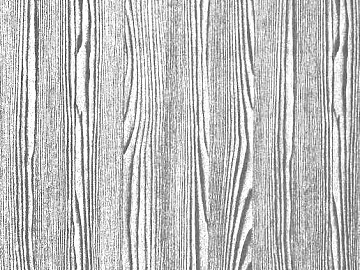 Black and white wood grain texture (ID:ffaef6333)