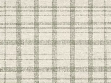 Light Green Fine Pattern Carpet texture (ID:ffaeh159274)