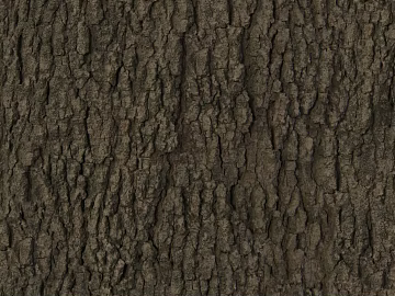 bark texture (ID:ffagg93248)