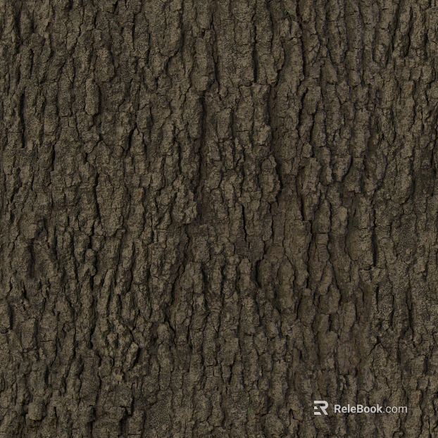 bark texture