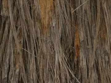bark texture (ID:ffaag03707)