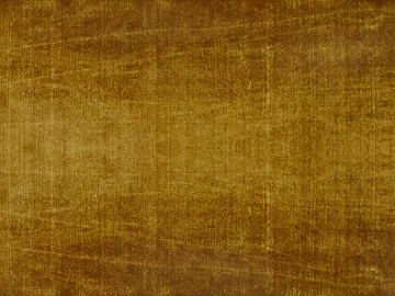 Gold Foil 3d model