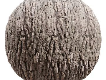 Bark PBR texture (ID:ffach418164)