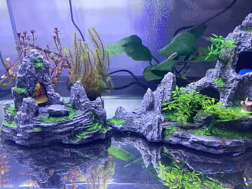 Fish Tank Map texture (ID:ffabg70610)