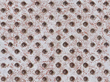 diamond plate metal texture (ID:ffaef9675)
