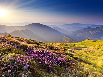 Wild Scenery texture (ID:ffaeg61714)