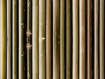 Bamboo texture (ID:ffagg79063)