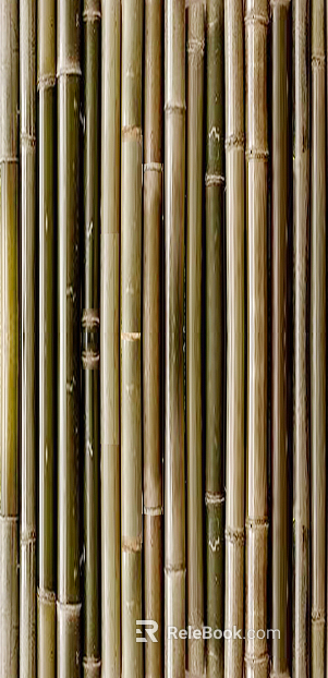 Bamboo texture