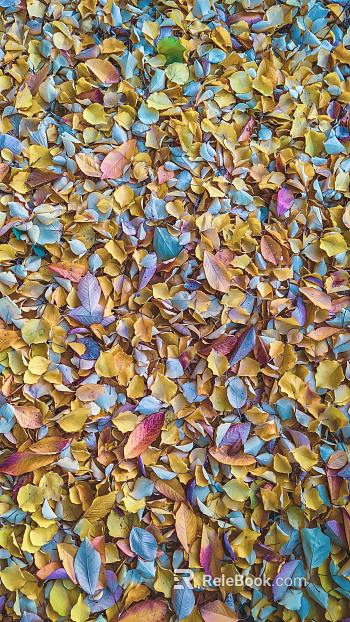 fallen leaves texture