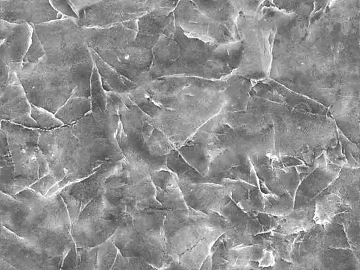 mesh pattern marble texture (ID:ffabg87329)