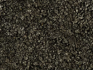 bark texture (ID:ffaag92471)